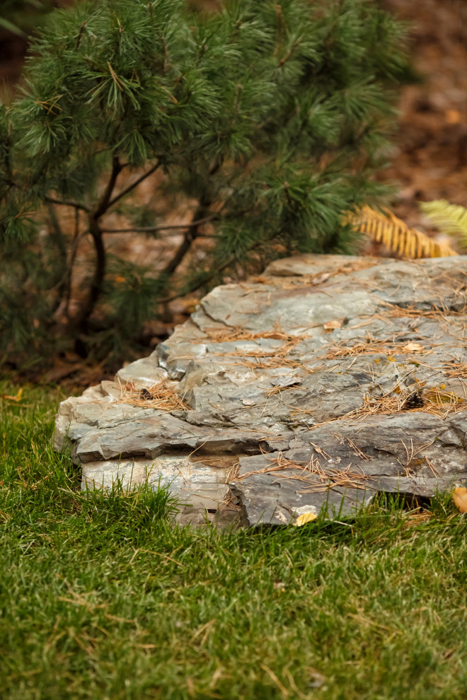 Ландшафт. Лесная погулка