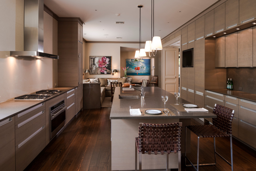 Design ideas for a contemporary galley kitchen in New Orleans.