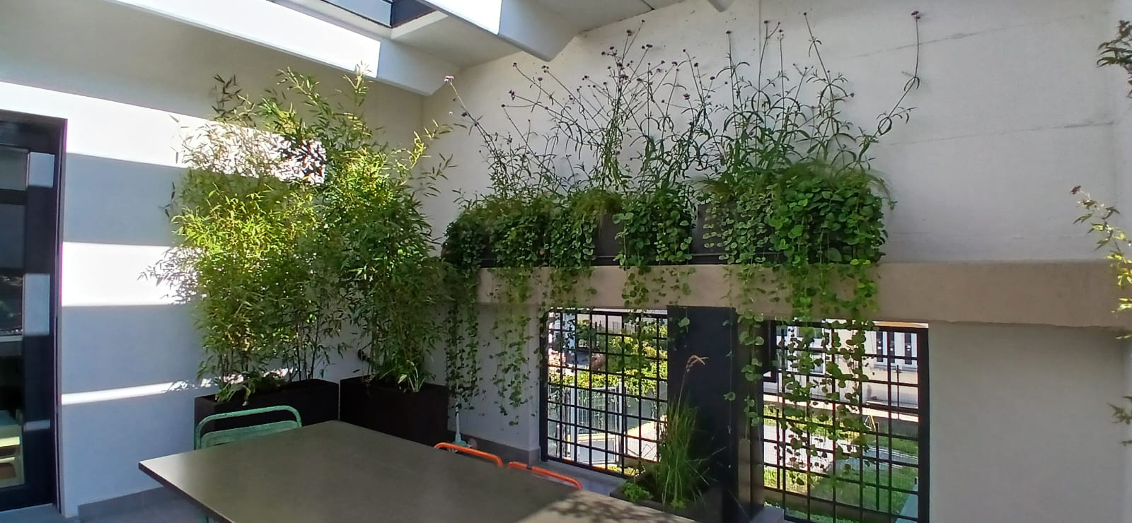 Realizzazione Wild in the city