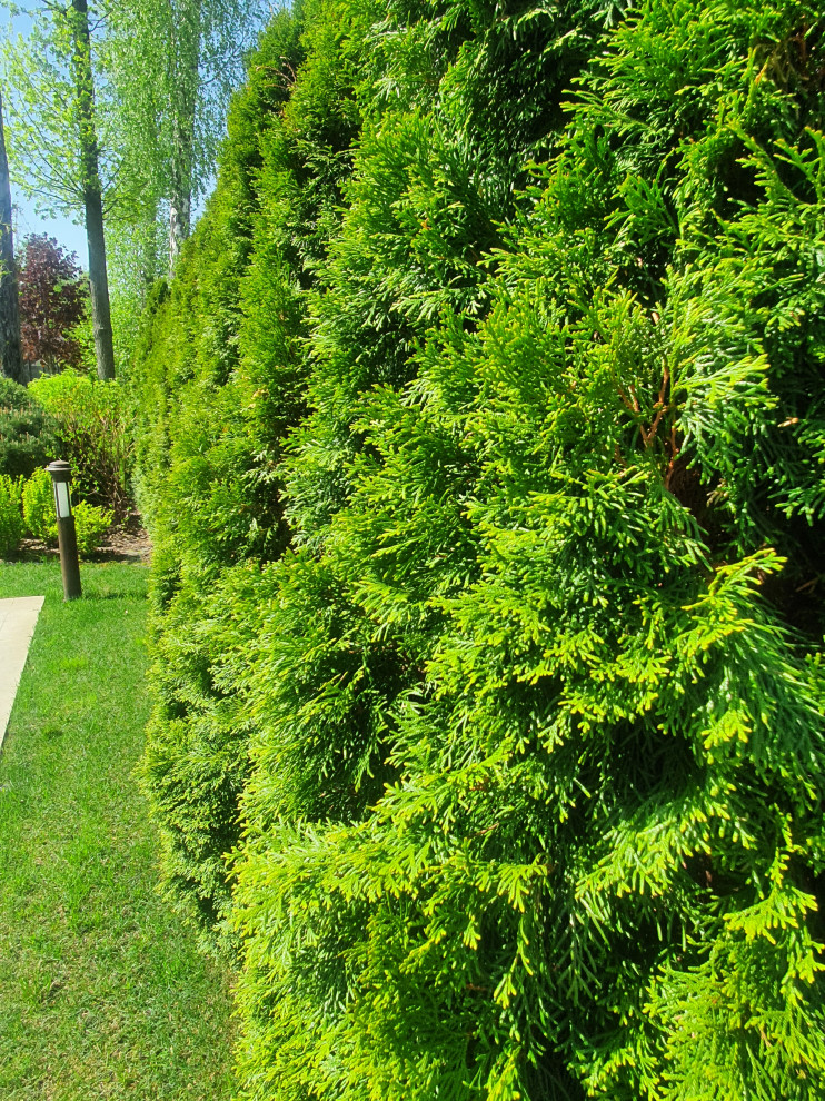 Летова роща