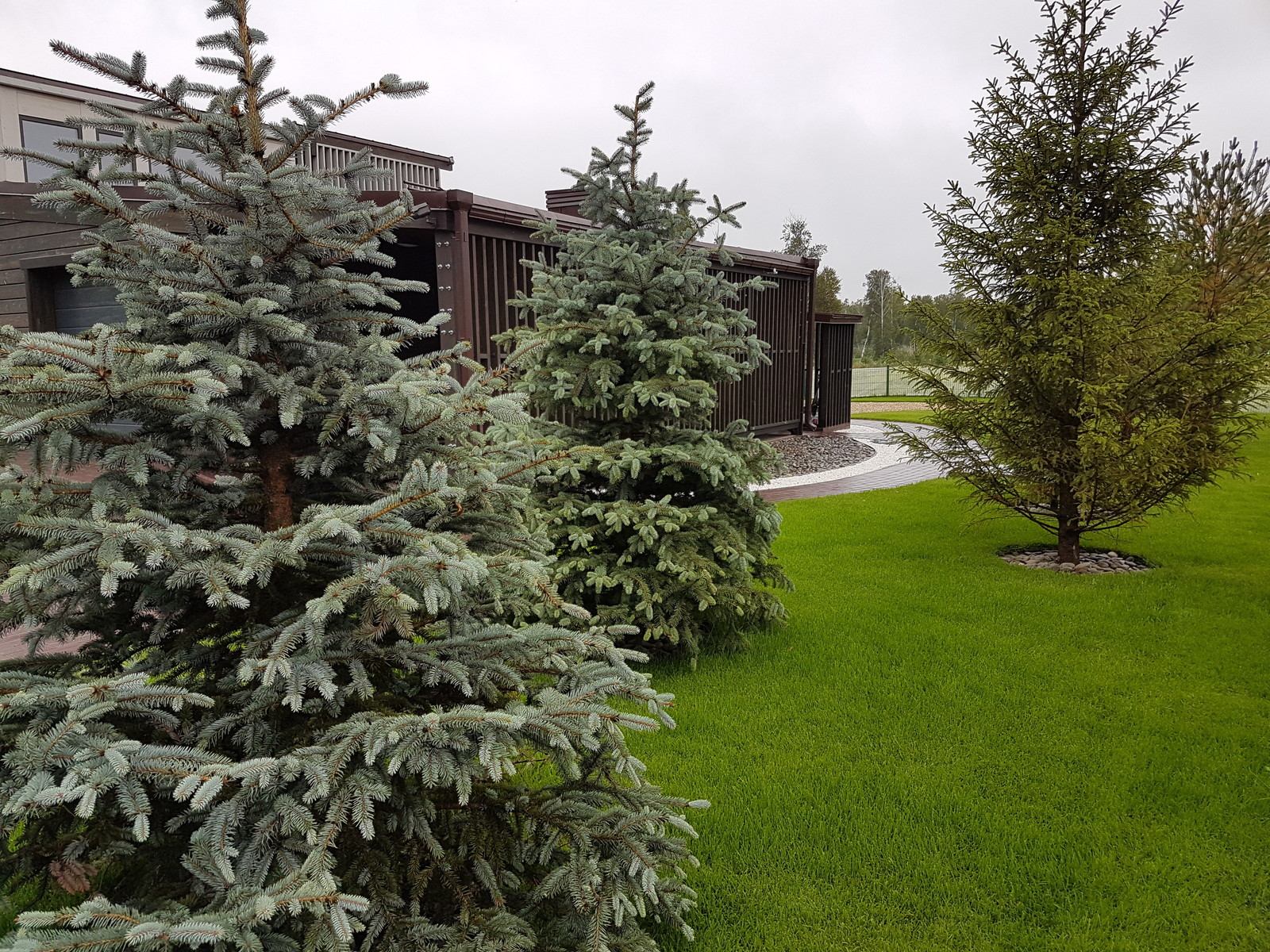 Участок с мужским характером