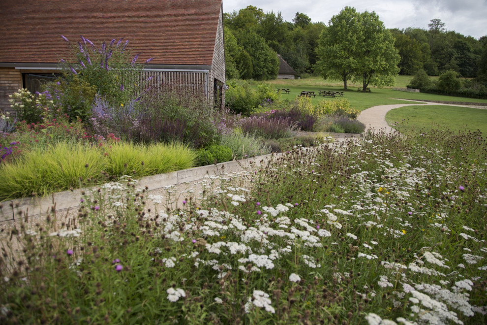 Design ideas for a country garden in Sussex.