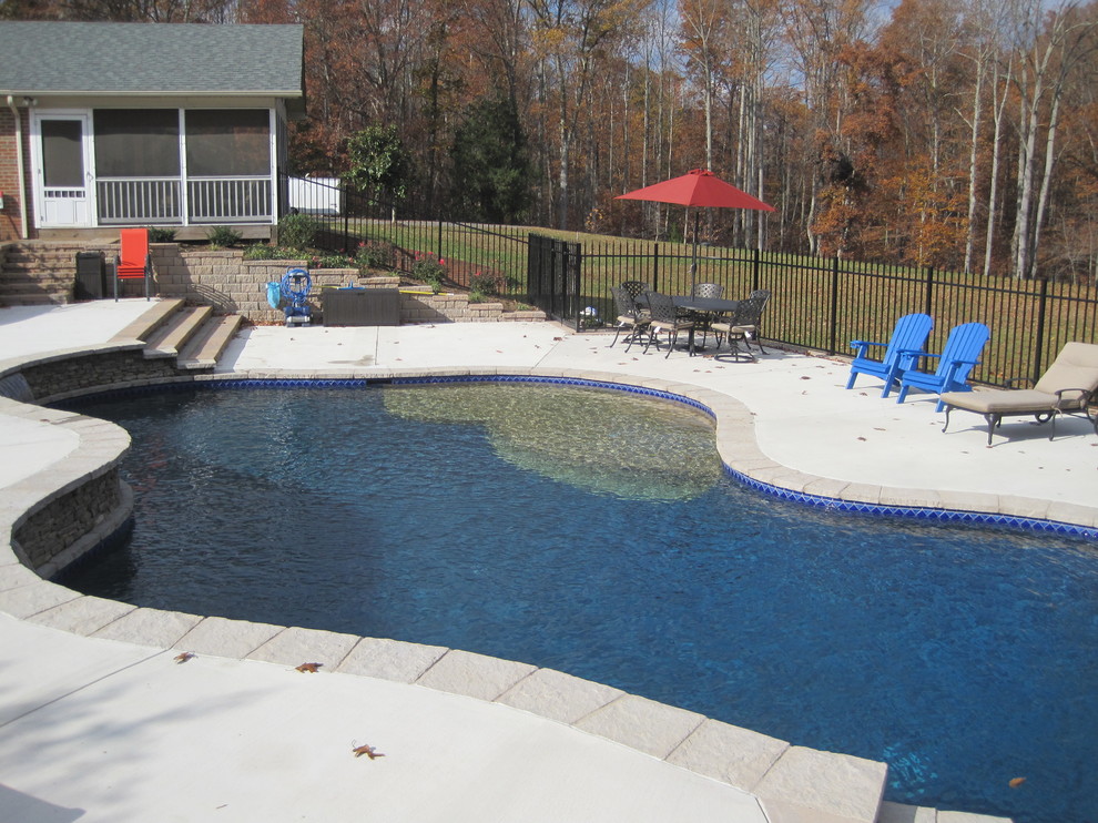 Example of a large mountain style backyard custom-shaped natural pool design in DC Metro
