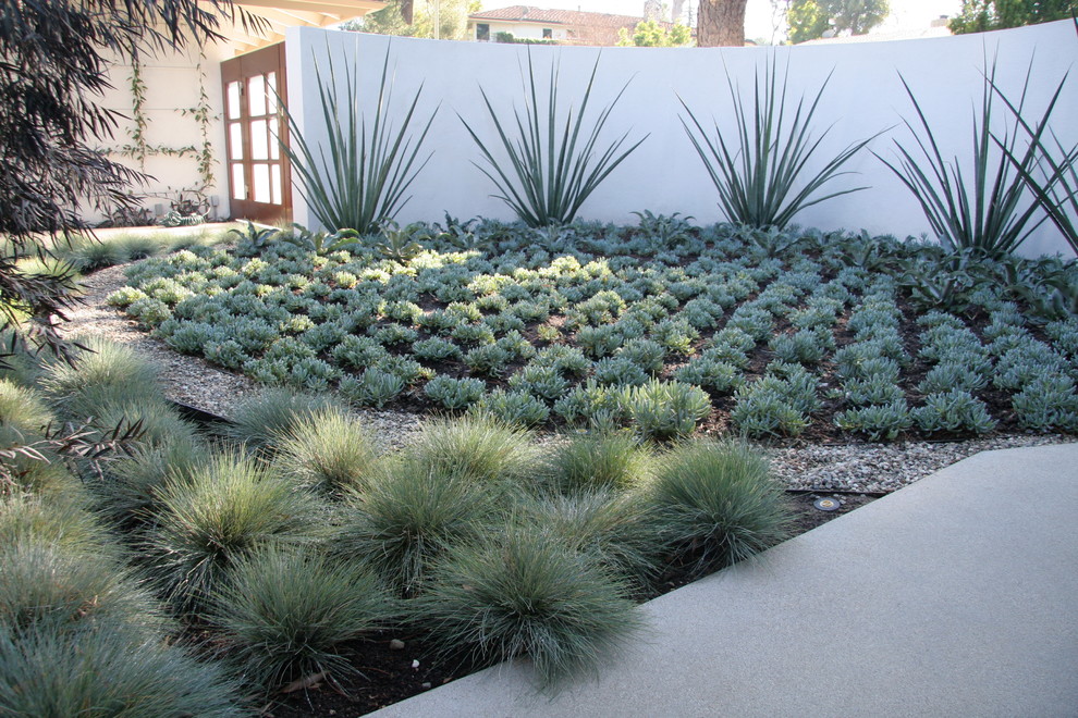 Design ideas for a contemporary backyard garden in Los Angeles.