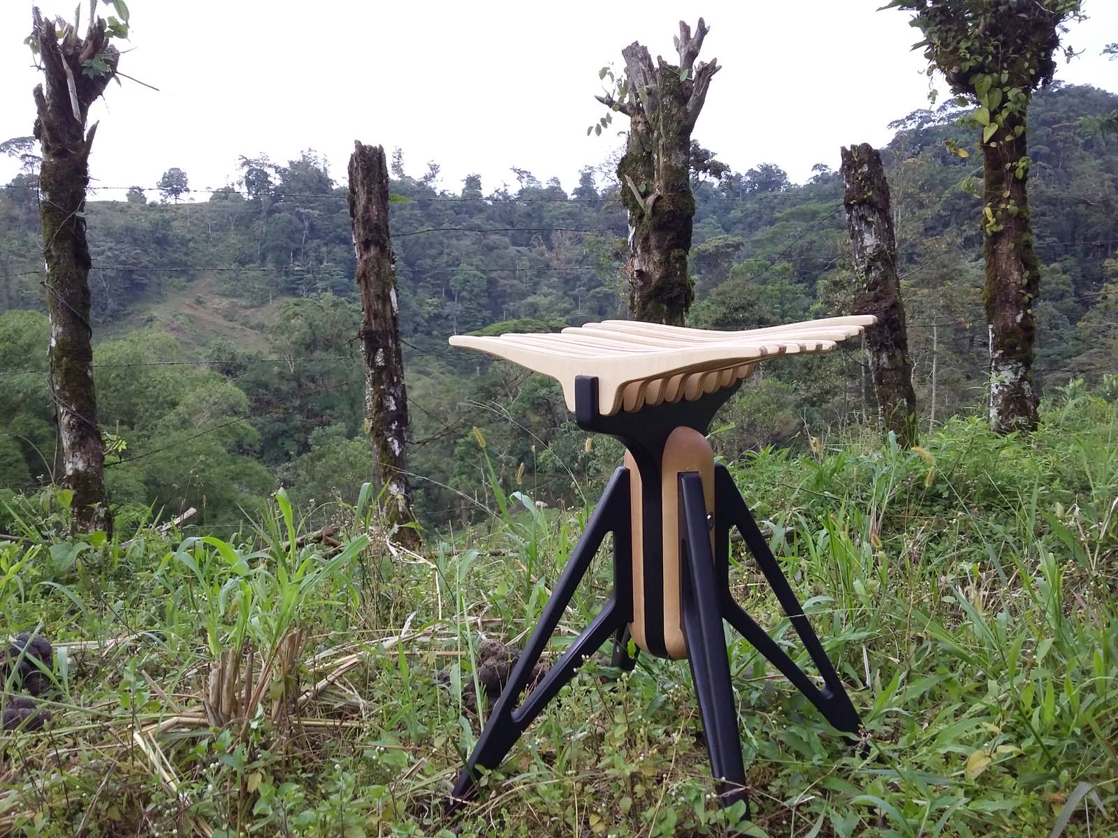 Cherepaha stool