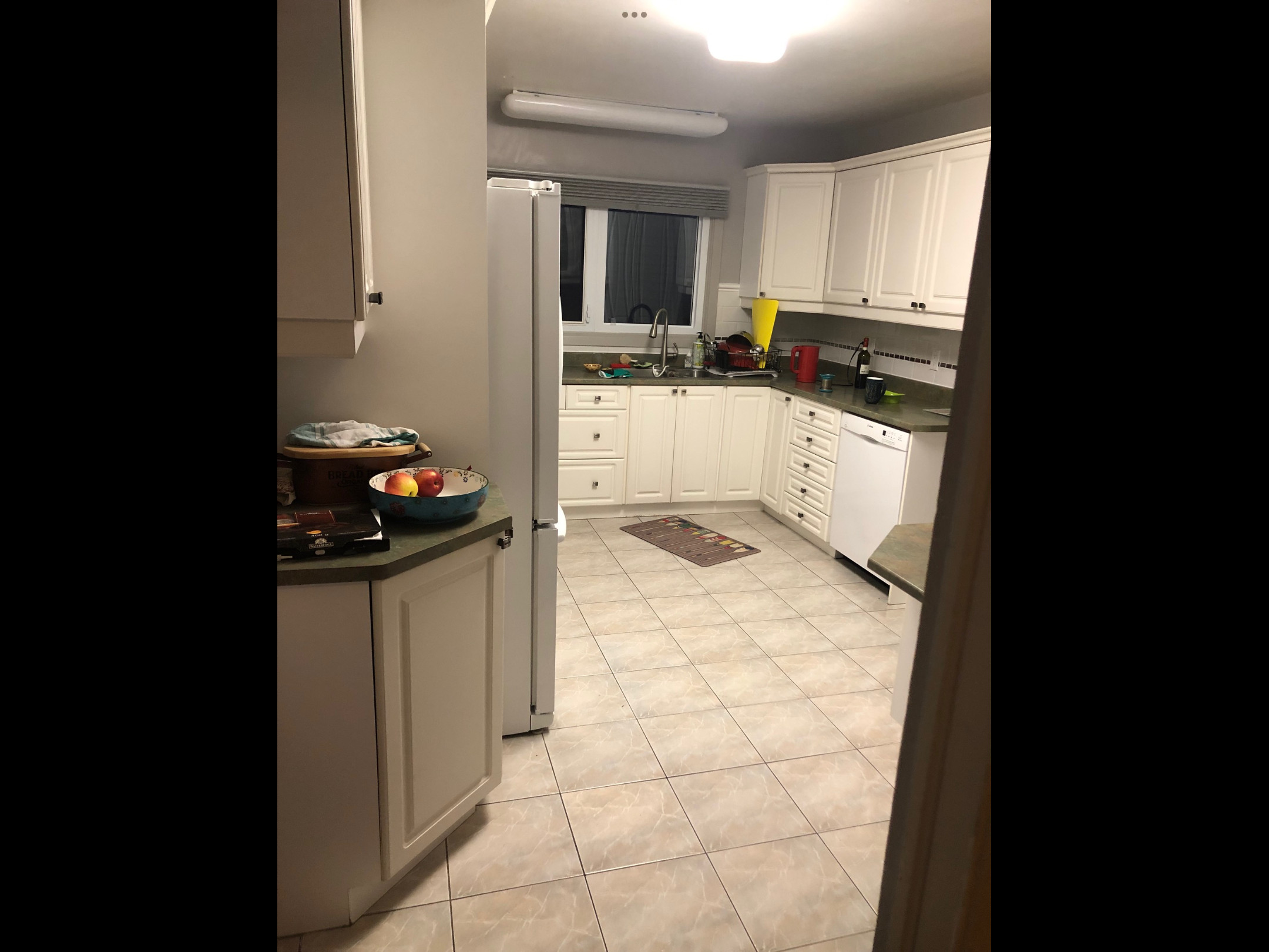 Ottawa kitchen
