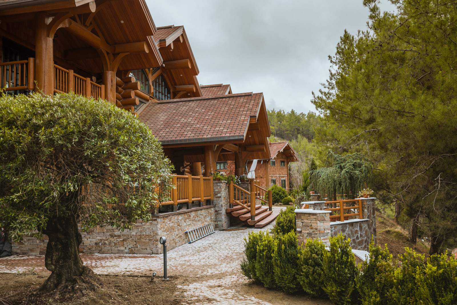 Ландшафтные работы на проекте "Агиос"