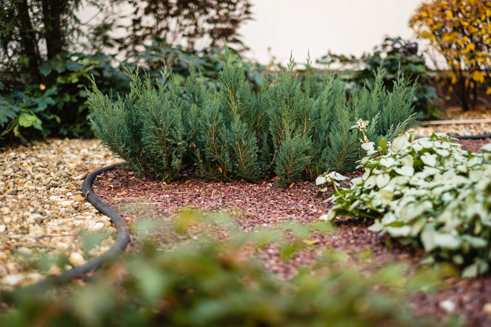 У леса на опушке