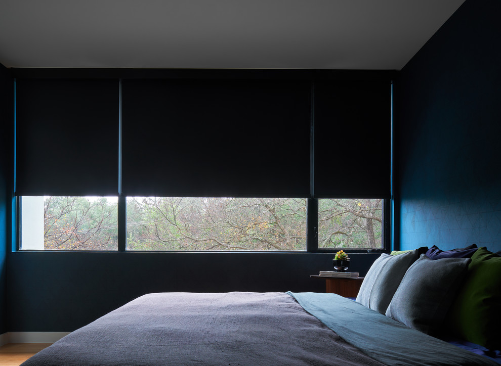 Inspiration for a mid-sized modern master bedroom in Austin with blue walls, medium hardwood floors and no fireplace.