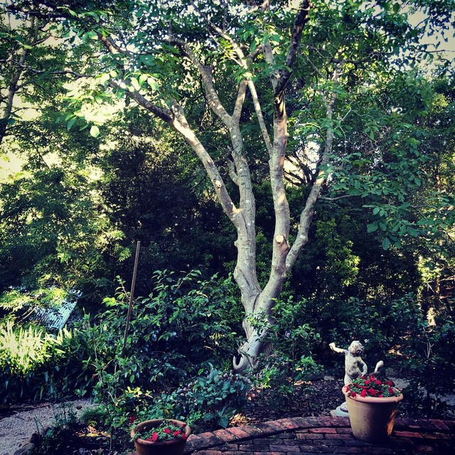 Garden design and maintenance lantlig-traedgaard