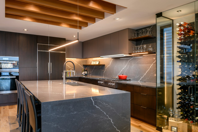 Palm Avenue contemporary-kitchen