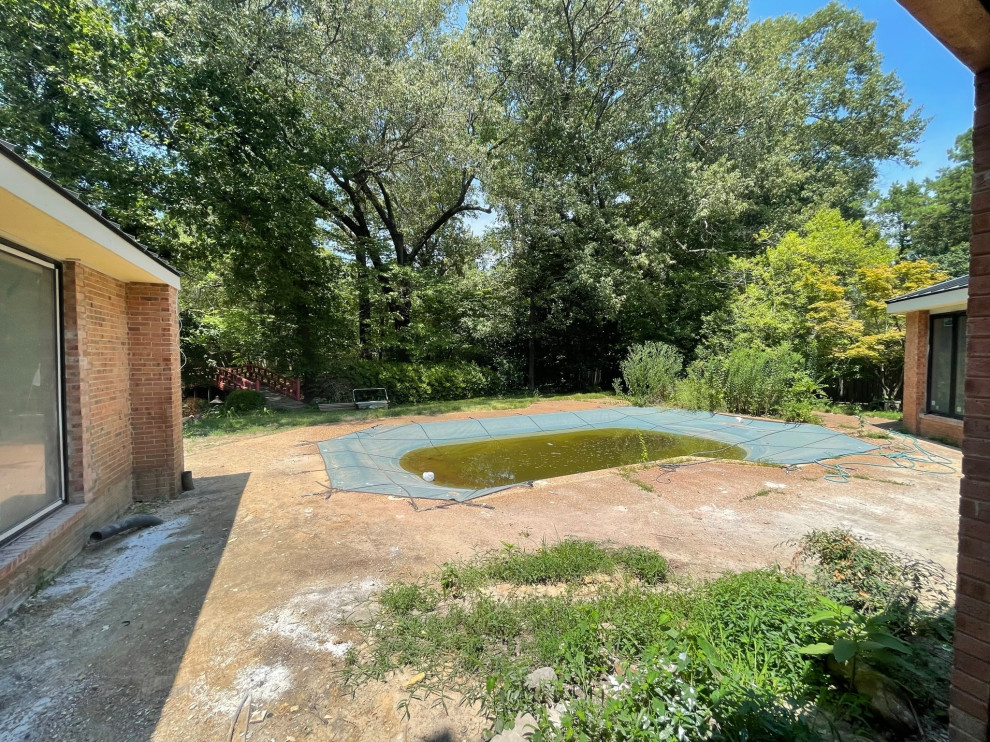 Minimalist backyard pool landscaping photo