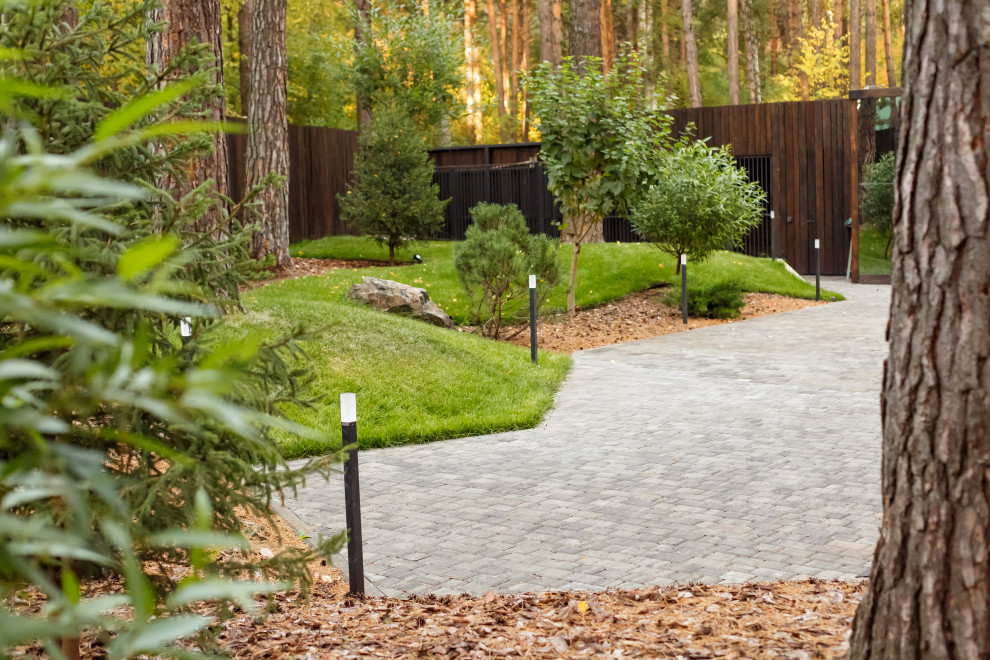 Ландшафт. Лесная погулка