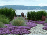 Beach Style Landscape by Lankford Associates Landscape Architects