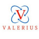 Valerius Enterprise pvt Ltd.