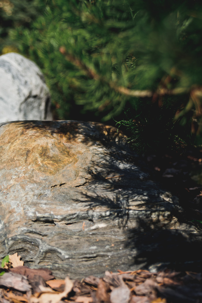 Маленький сад перед таунхаусом