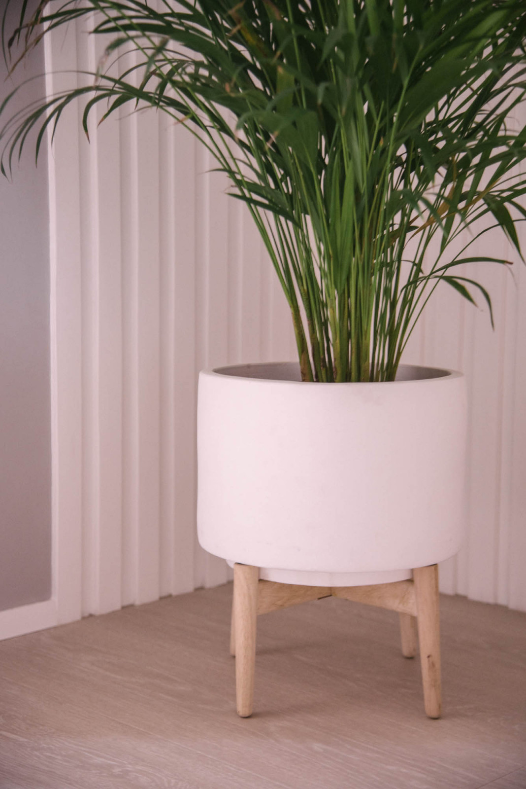 Реализация проекта