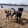 nancy_garner79