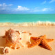 Beach Tile Installations