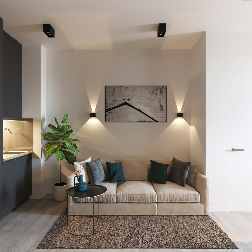 Дизайн проект квартиры 34 м2 в стиле "Минимализм"