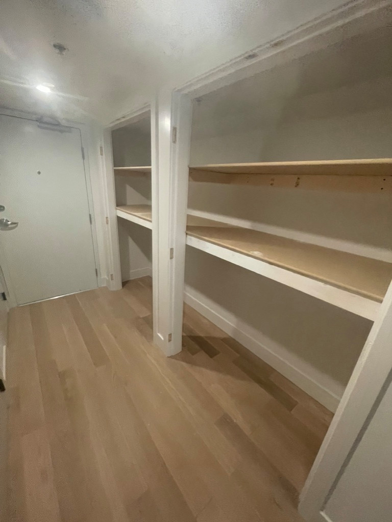 Custom shelving and hidden door