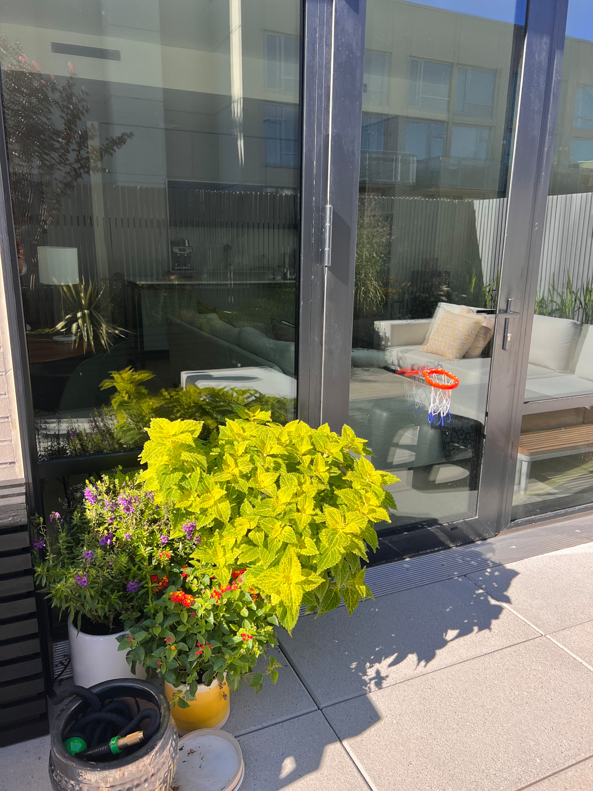 Williamsburg Kid Friendly Terrace