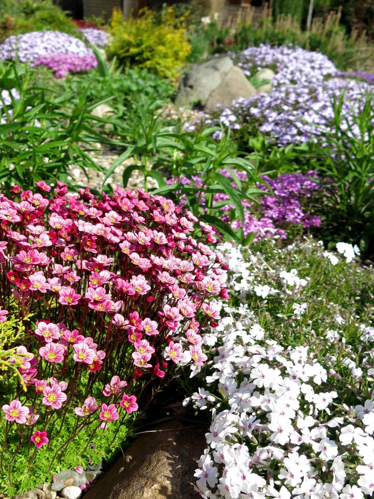 ТЕПЛЫШКО МОЕ. ВЕСНА.