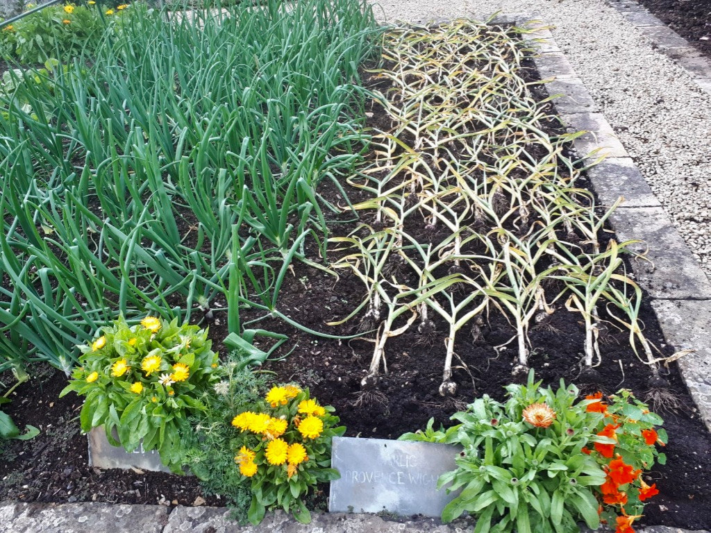 Vegetable Garden Maintenance Project