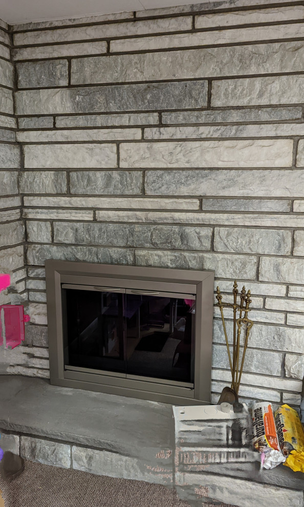Pellet Stove insert worth it for raised ranch fireplace in basement?