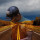 webuser_8806074
