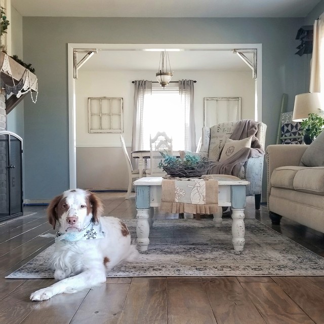 diy dog house indoor