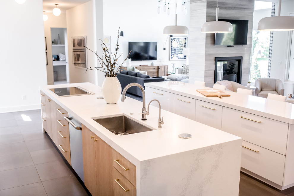 Trendy kitchen photo in Other