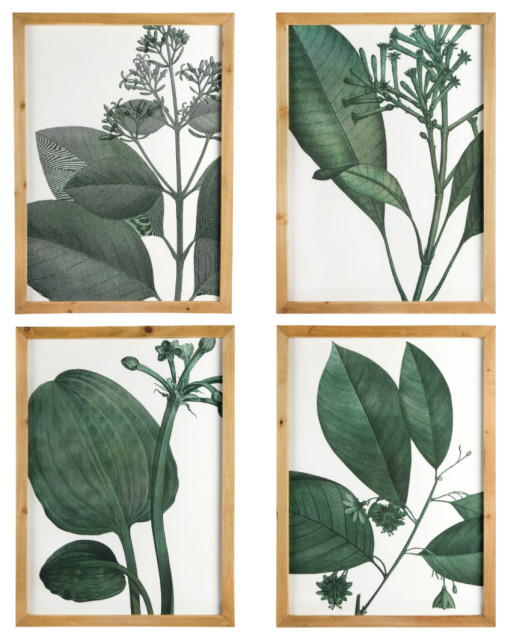 Wood Framed Green Botanical Wall Decor Contemporary Prints And