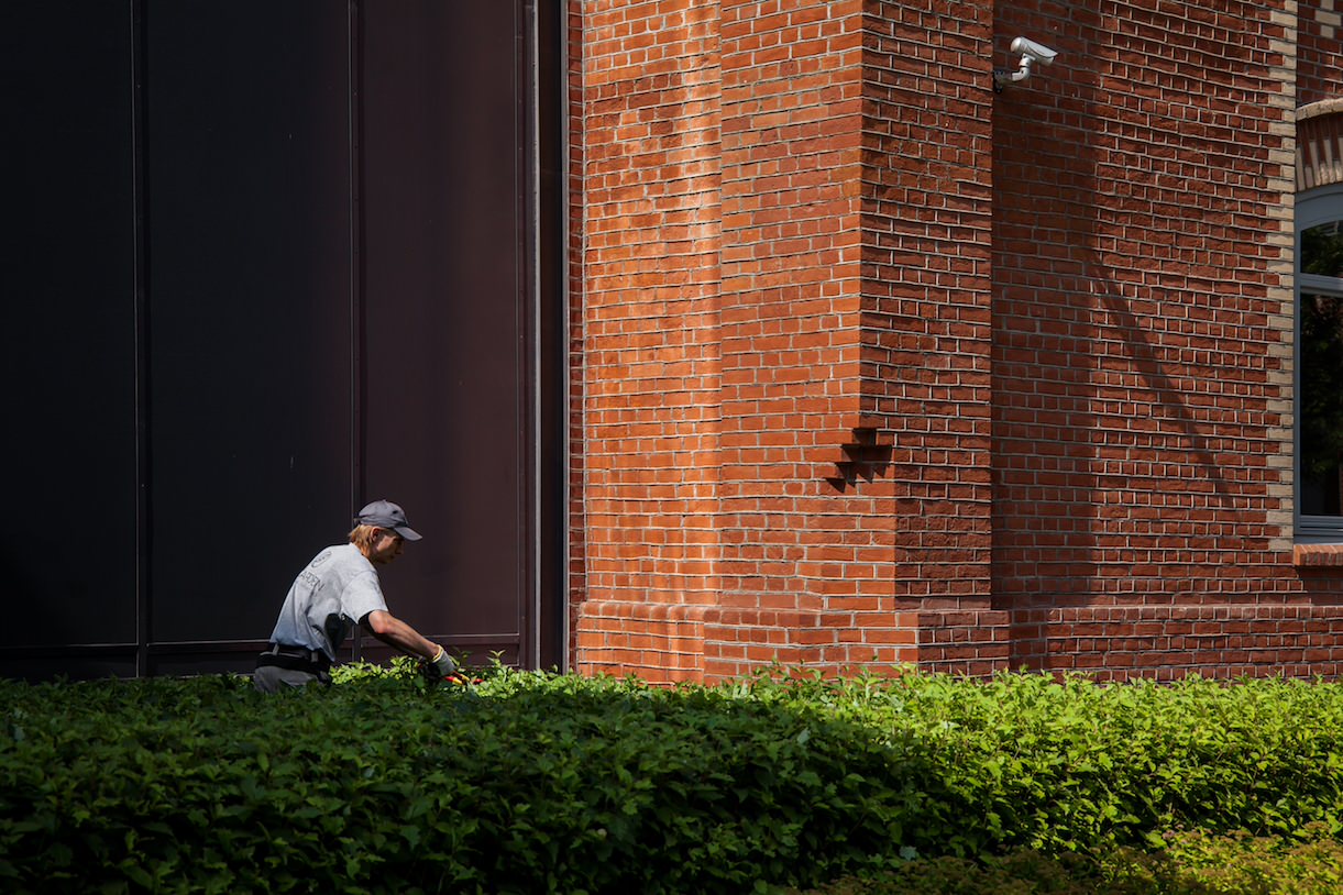 Bolshevik Factory / John McAslan + Partners