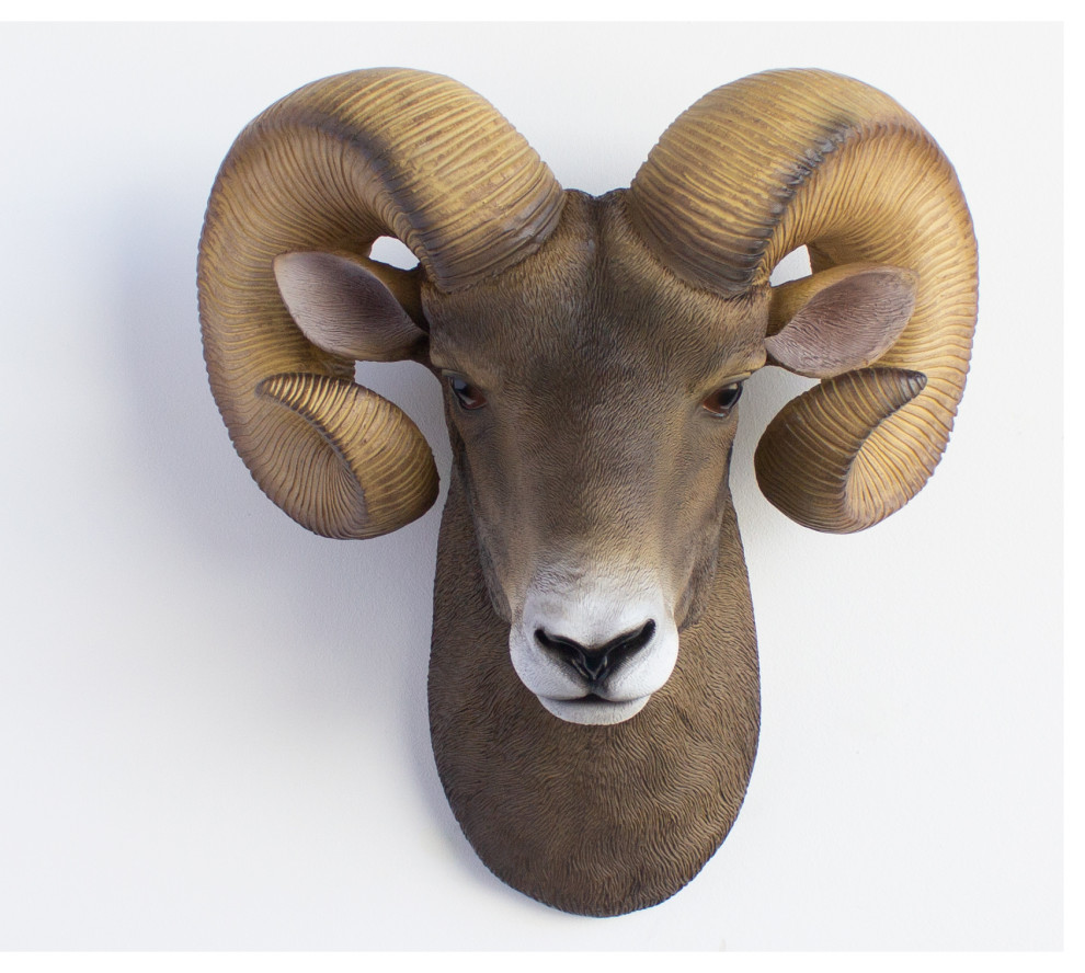 Resin Ram Head Wall Mount Farmhouse Wall Sculptures by Near and