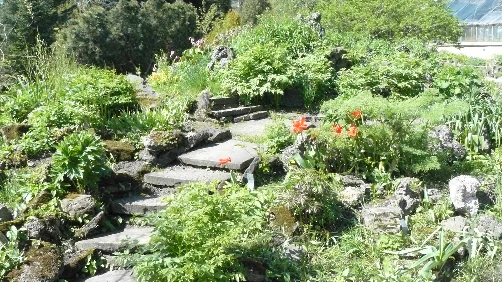 альпийская горка