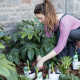 Alicia Savage Gardens