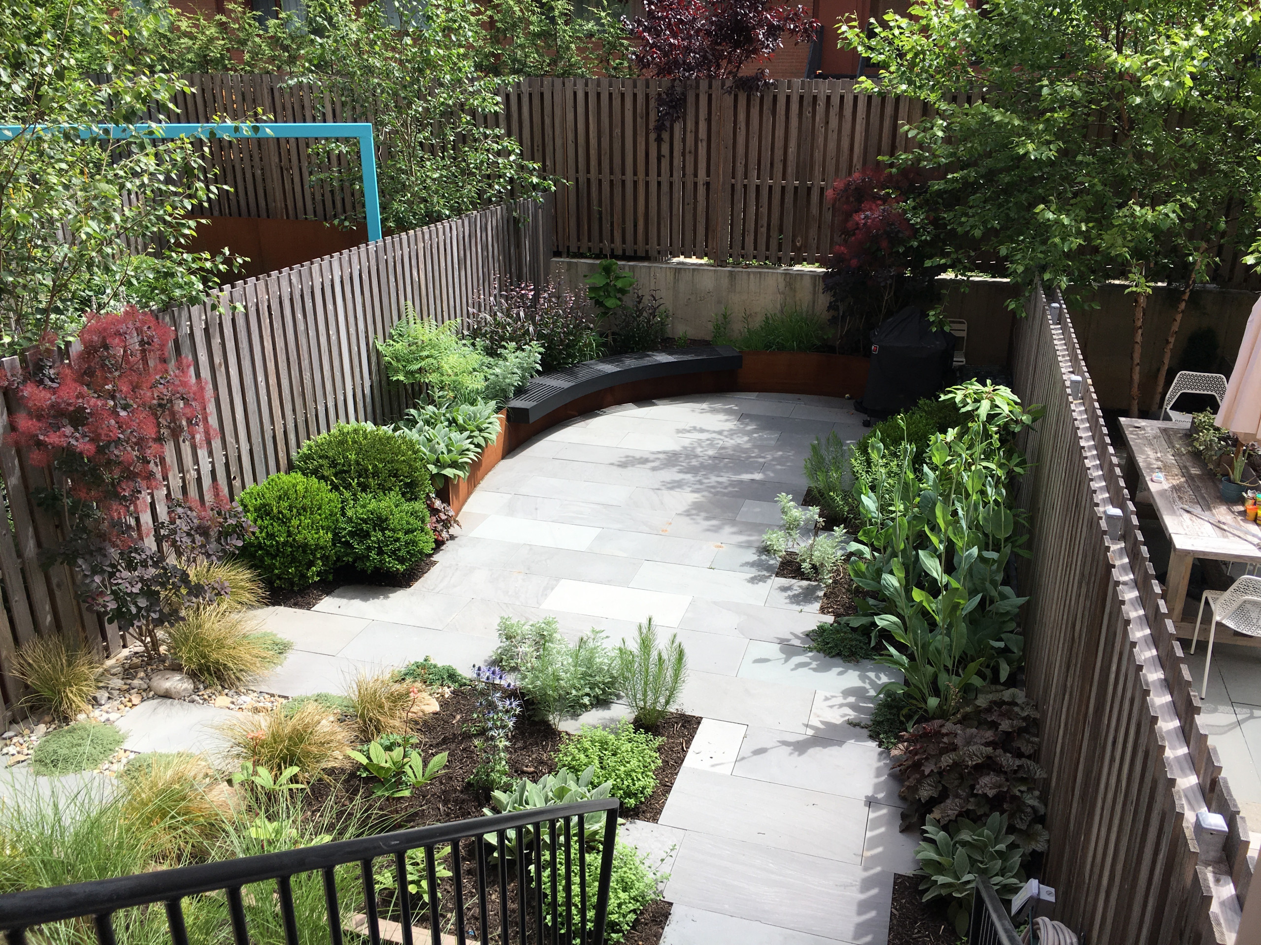 Modern Garden with Curved Corten Border