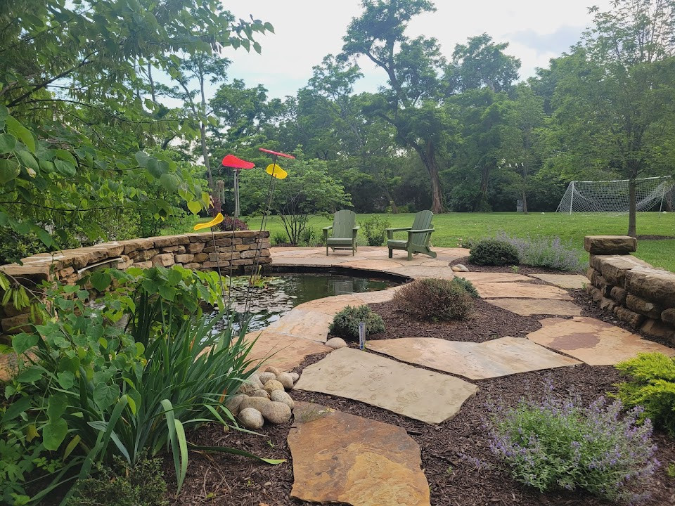 Pond Renovation