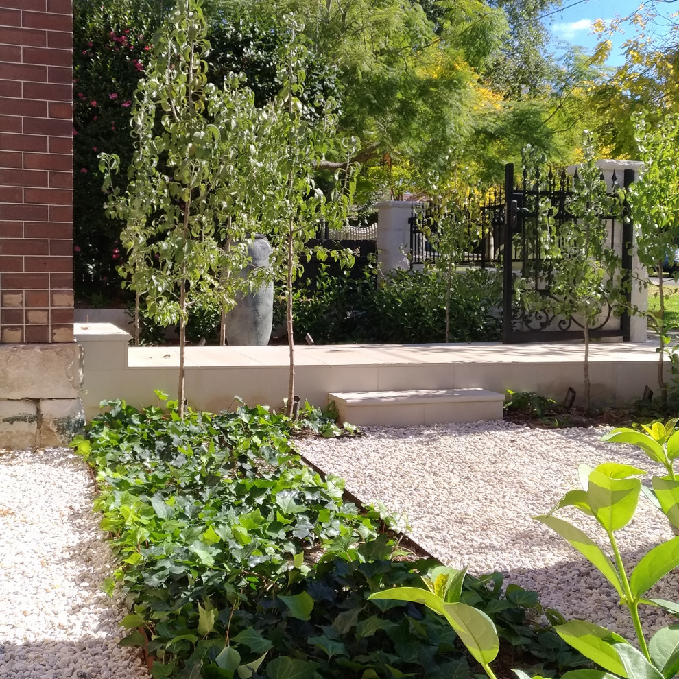 Inspiration for a medium sized classic front formal full sun garden in Sydney with a garden path, gravel and a stone fence.