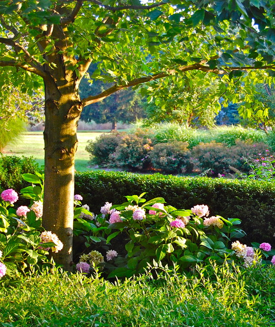 Howard Roberts garten