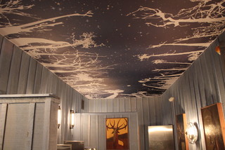 BUFFALO STRETCH CEILING - Project Photos & Reviews - Buffalo, US | Houzz