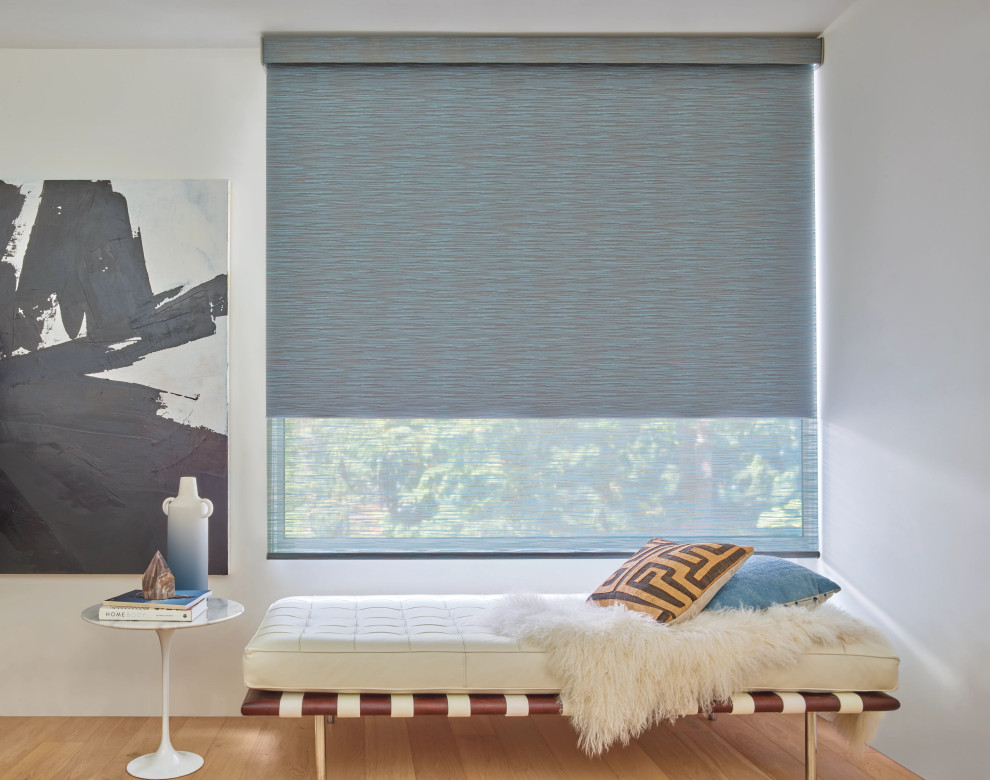 Cana roller shades and banded rolling shades