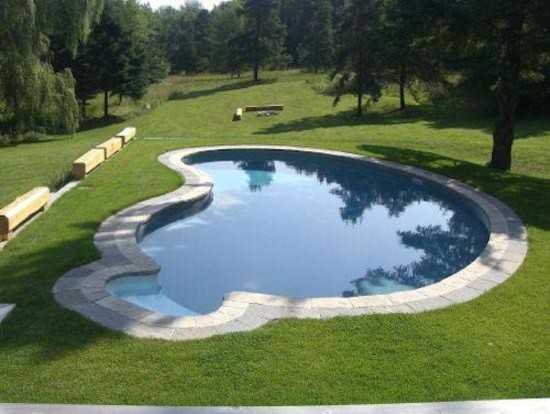 Inspiration for a large backyard custom-shaped pool remodel