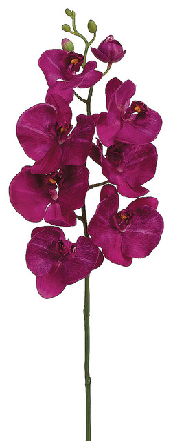 Silk Plants Direct Phalaenopsis Orchid, Pack of 12, Orchid