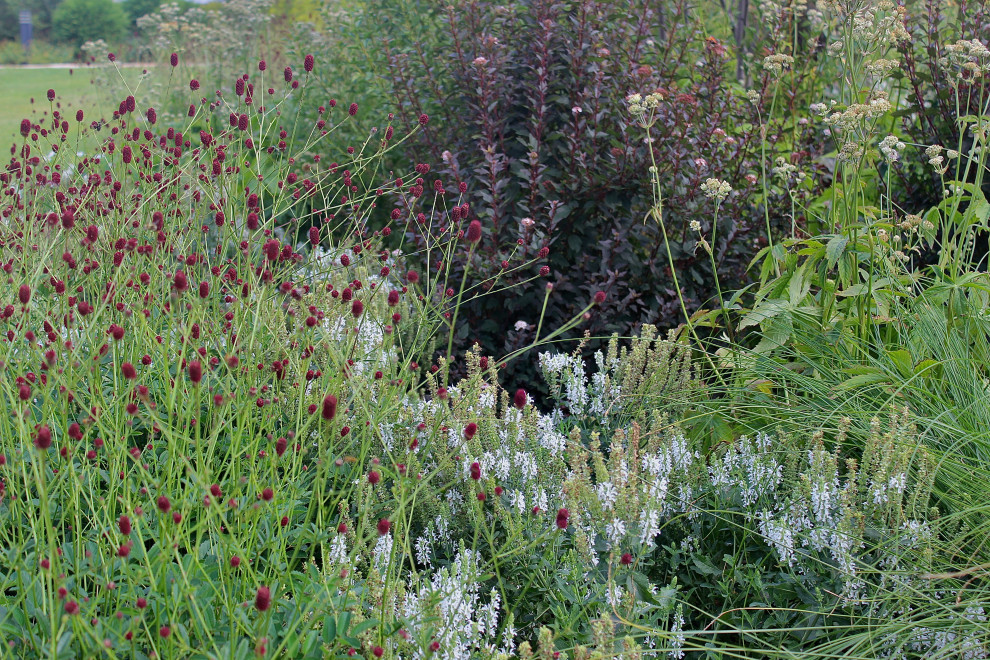 КП Тихие Зори