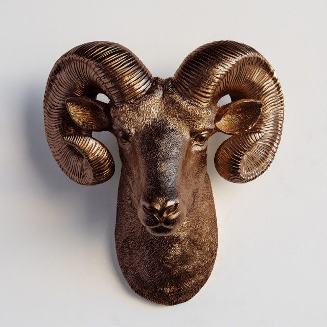 Resin Ram Head Wall Mount Farmhouse Wall Sculptures by Near and