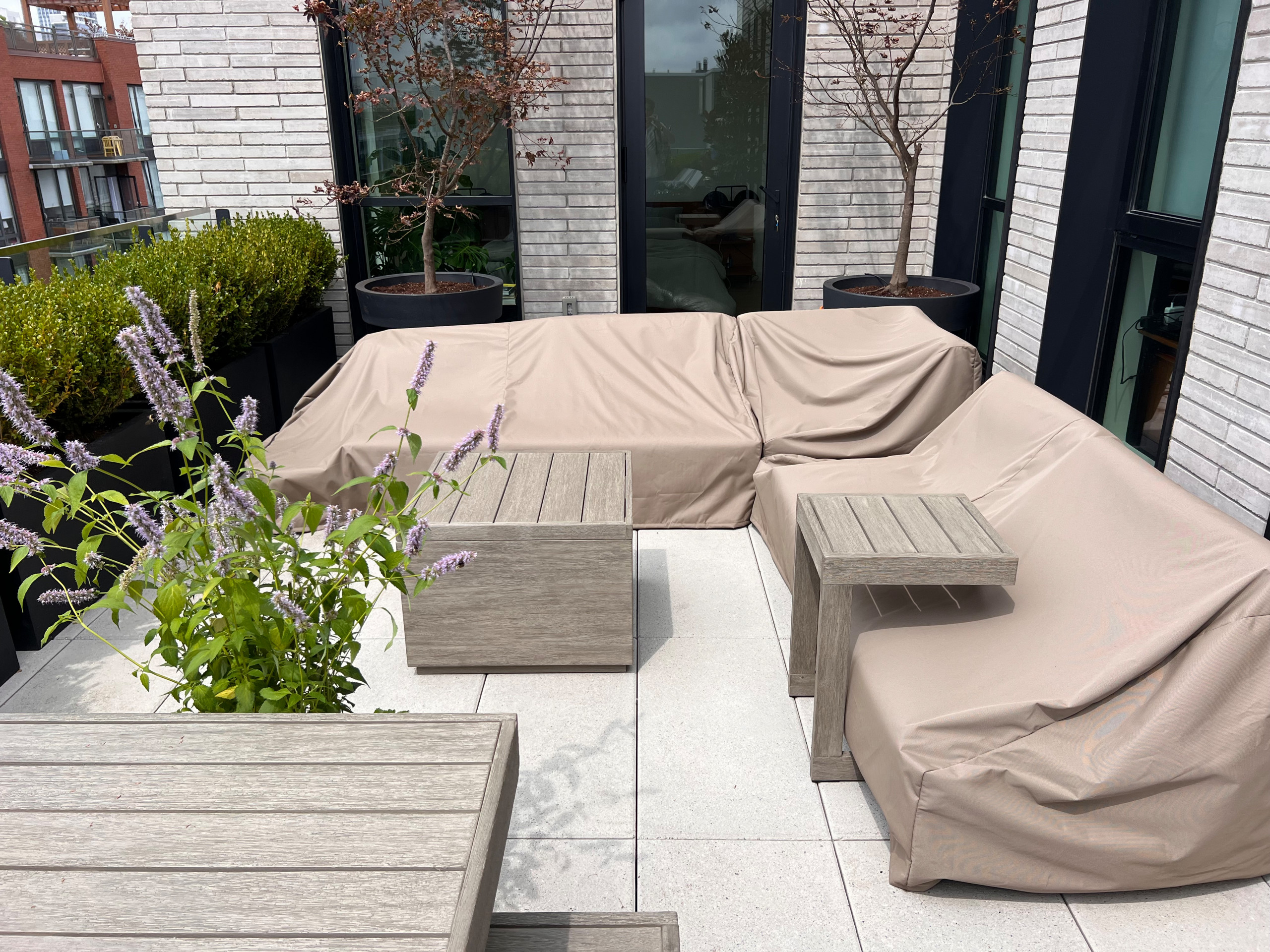Williamsburg new terrace