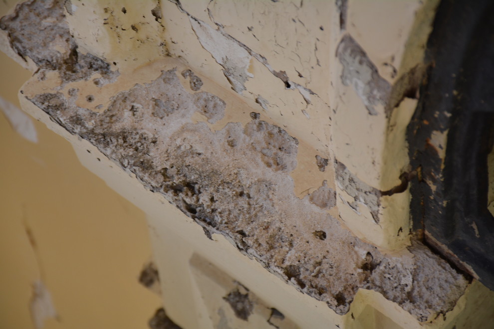 Restauración de fachada en el Colegio de farmacéuticos de Valencia