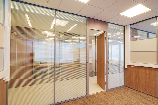 Commercial Doors minimalistisch-arbeitszimmer